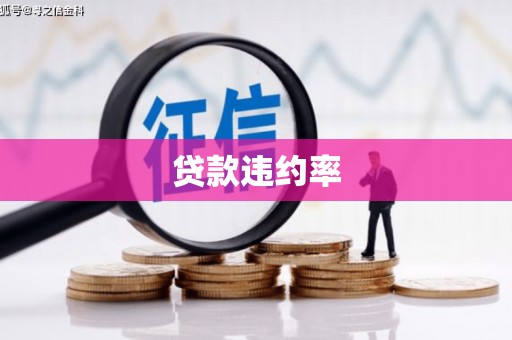 颍上贷款违约率