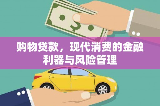 颍上购物贷款，现代消费的金融利器与风险管理