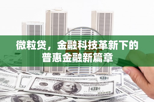 颍上微粒贷，金融科技革新下的普惠金融新篇章