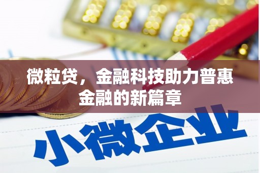 颍上微粒贷，金融科技助力普惠金融的新篇章