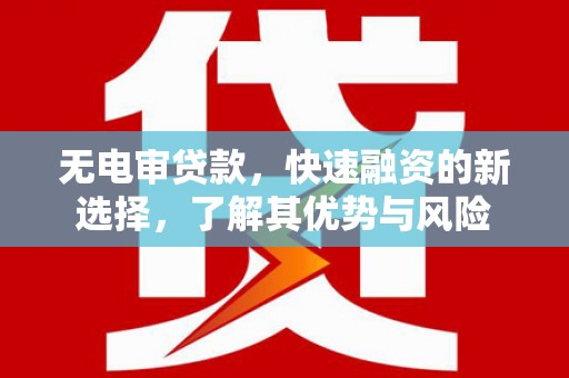 颍上无电审贷款，快速融资的新选择，了解其优势与风险