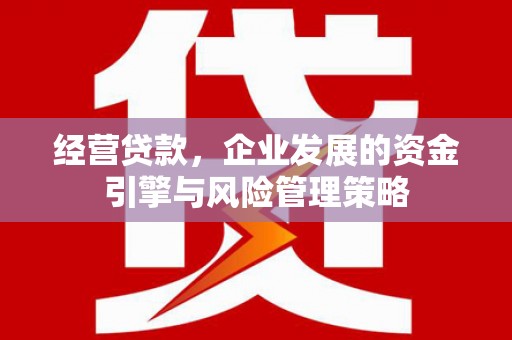 颍上经营贷款，企业发展的资金引擎与风险管理策略