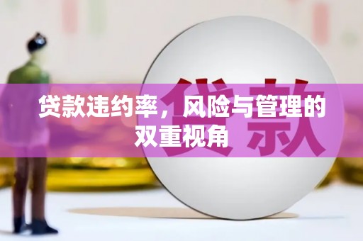 颍上贷款违约率，风险与管理的双重视角