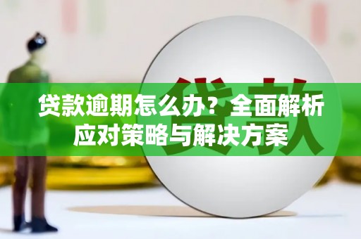 颍上贷款逾期怎么办？全面解析应对策略与解决方案