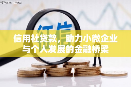 颍上信用社贷款，助力小微企业与个人发展的金融桥梁