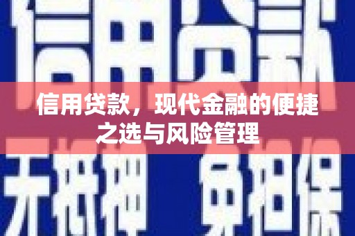 颍上信用贷款，现代金融的便捷之选与风险管理