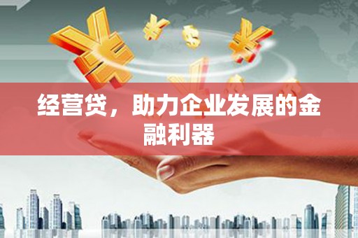 颍上经营贷，助力企业发展的金融利器