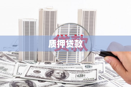 颍上质押贷款