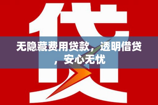 颍上无隐藏费用贷款，透明借贷，安心无忧