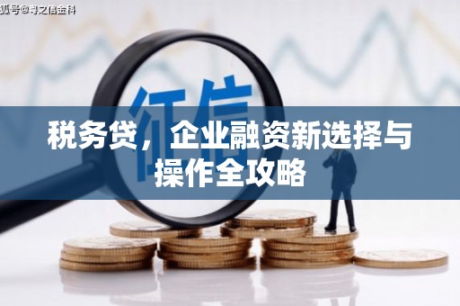 颍上税务贷，企业融资新选择与操作全攻略