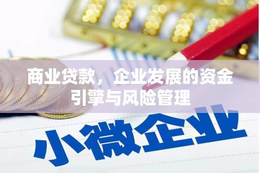颍上商业贷款，企业发展的资金引擎与风险管理