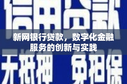 颍上新网银行贷款，数字化金融服务的创新与实践