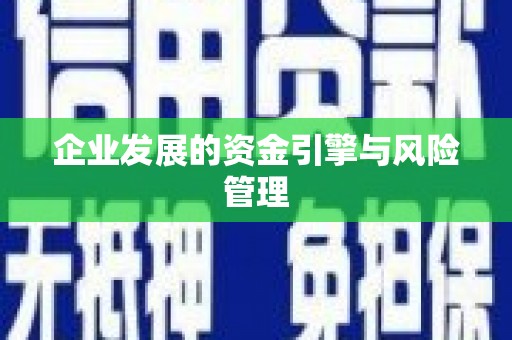 颍上企业发展的资金引擎与风险管理