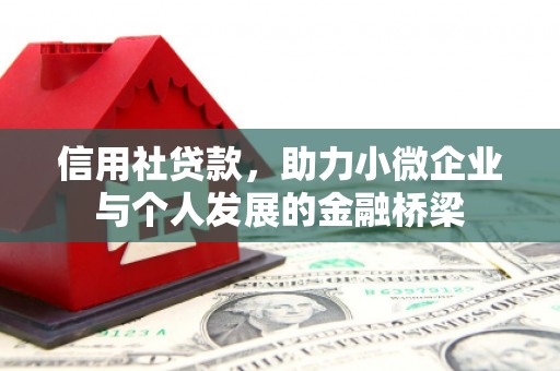 颍上信用社贷款，助力小微企业与个人发展的金融桥梁