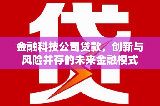 颍上金融科技公司贷款，创新与风险并存的未来金融模式