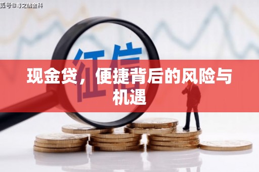 颍上现金贷，便捷背后的风险与机遇
