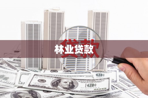颍上林业贷款