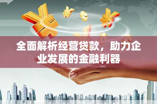 颍上全面解析经营贷款，助力企业发展的金融利器