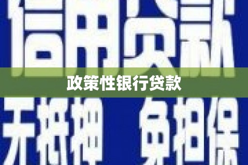 颍上政策性银行贷款