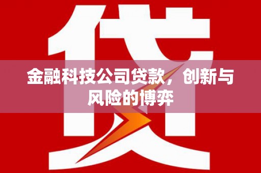 颍上金融科技公司贷款，创新与风险的博弈