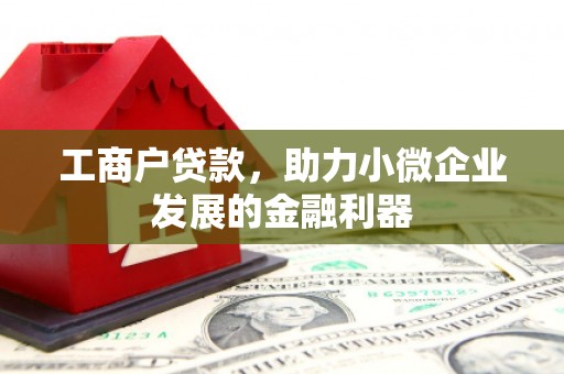 颍上工商户贷款，助力小微企业发展的金融利器