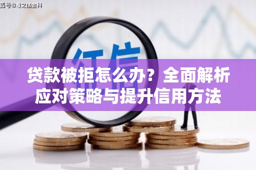 颍上贷款被拒怎么办？全面解析应对策略与提升信用方法