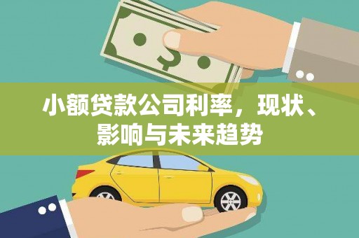 颍上小额贷款公司利率，现状、影响与未来趋势
