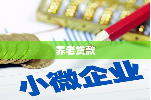 颍上养老贷款