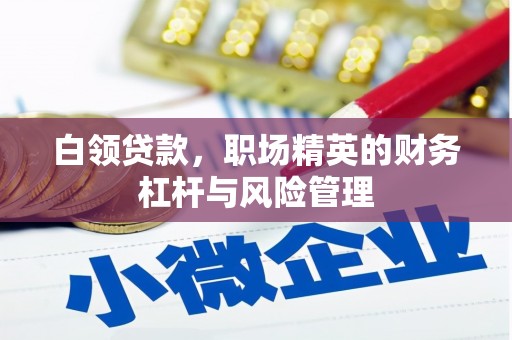 颍上白领贷款，职场精英的财务杠杆与风险管理