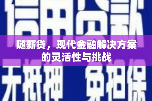 颍上随薪贷，现代金融解决方案的灵活性与挑战