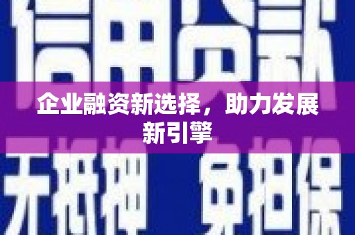 颍上企业融资新选择，助力发展新引擎