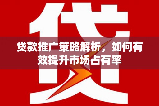 颍上贷款推广策略解析，如何有效提升市场占有率