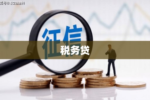 颍上税务贷
