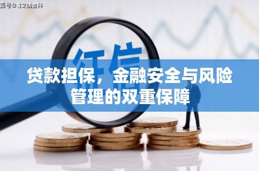 颍上贷款担保，金融安全与风险管理的双重保障