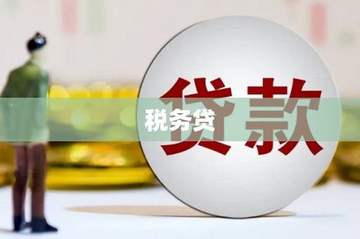 颍上税务贷