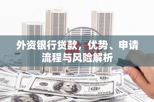 颍上外资银行贷款，优势、申请流程与风险解析