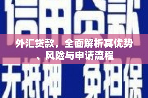 颍上外汇贷款，全面解析其优势、风险与申请流程