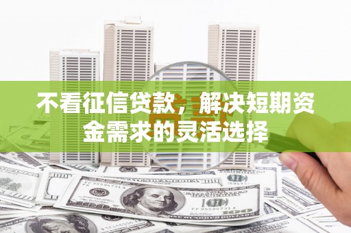 颍上不看征信贷款，解决短期资金需求的灵活选择