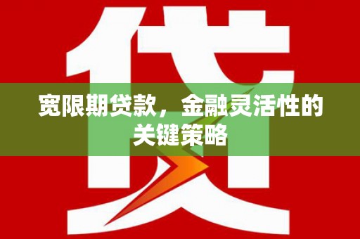 颍上宽限期贷款，金融灵活性的关键策略