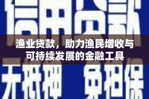 颍上渔业贷款，助力渔民增收与可持续发展的金融工具