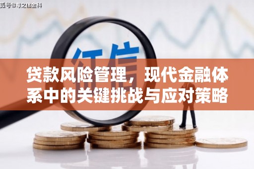颍上贷款风险管理，现代金融体系中的关键挑战与应对策略