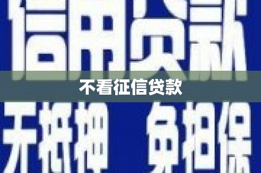 颍上不看征信贷款