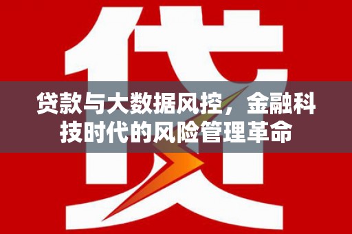 颍上贷款与大数据风控，金融科技时代的风险管理革命