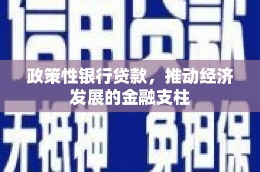 颍上政策性银行贷款，推动经济发展的金融支柱