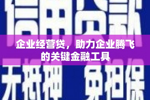 颍上企业经营贷，助力企业腾飞的关键金融工具