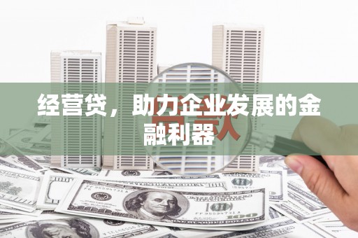 颍上经营贷，助力企业发展的金融利器