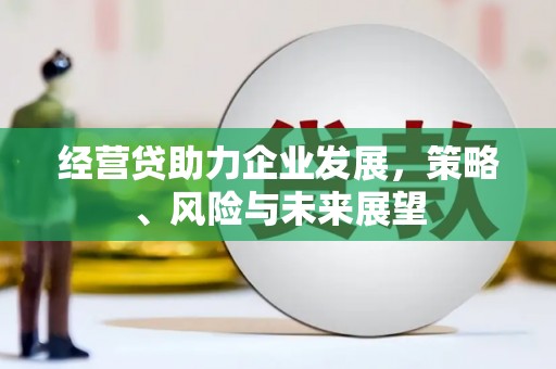 颍上经营贷助力企业发展，策略、风险与未来展望