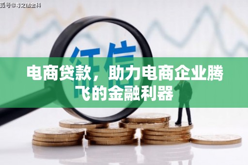 颍上电商贷款，助力电商企业腾飞的金融利器