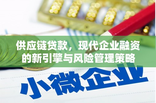 颍上供应链贷款，现代企业融资的新引擎与风险管理策略