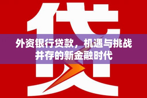 颍上外资银行贷款，机遇与挑战并存的新金融时代